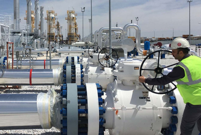 Тройственный газовый союз предложил создать Владимир Путин