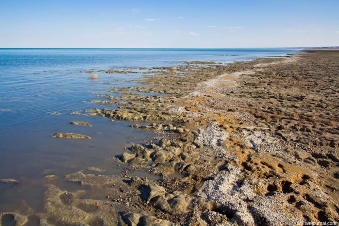 Ученые установили новый возраст Аральского моря