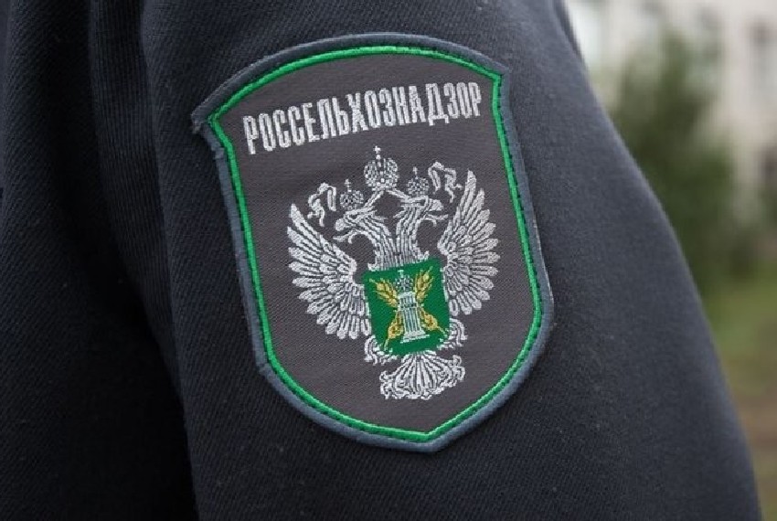 Контрабандная химия: из России вернули в Кыргызстан опасный груз без документов