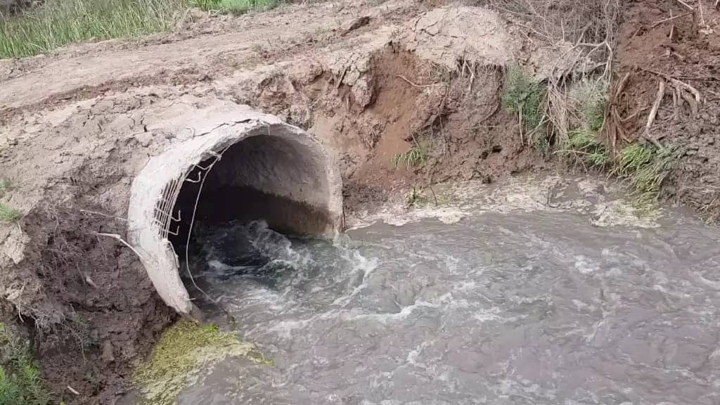 В «Тигровой балке» улучшат систему дренажа и циркуляции воды