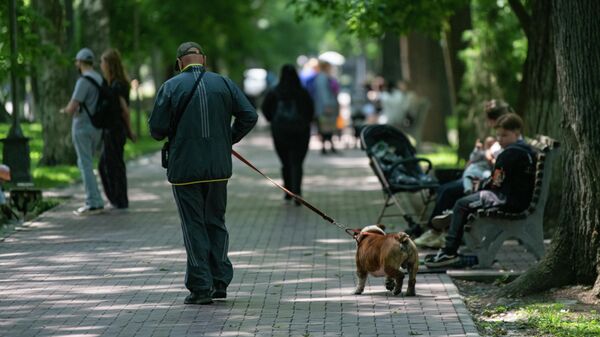 Осадки маловероятны — погода в Бишкеке на 18 апреля