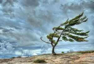 В Азербайджане объявлены желтое и оранжевое предупреждения