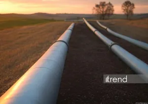 Азербайджан обеспечил 82% нефти в БТД в I квартале