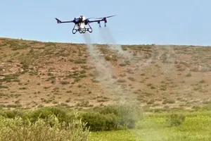 В Казахстане обработано 2,7 миллиона гектаров в рамках борьбы с саранчой