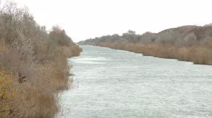 Персонал канала имени К. Сатпаева боится за качество воды