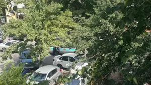 ДВД дал официальную версию по стрельбе в Алматы