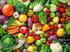 Сенат одобрил закон о производстве и обороте органической продукции в Казахстане