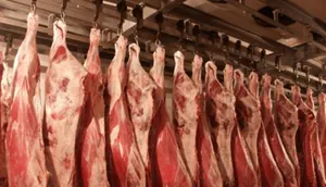 Россия разрешила ввоз продукции с Акмолинской области РК