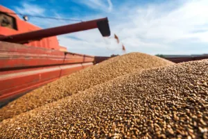 Казахстан снял вопрос по транзиту сельхозпродукции через Россию – МСХ