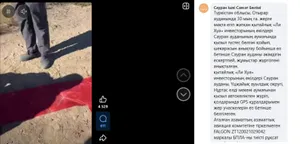 Китайскому инвестору пытались продать землю в Туркестанской области