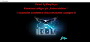 Турецкие хакеры взломали около 40 казахстанских сайтов