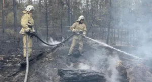 В Генпрокуратуре озвучили подозреваемых по делу о крупном пожаре в области Абай