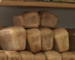 Хлеб за 475 тенге: продукты по завышенным ценам поставляли в детсады Улытау