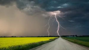 Дождливая погода сохранится в центральных регионах Казахстана