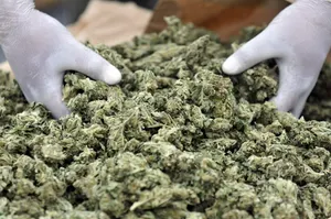 Крупную партию наркотиков изъяли в Актау