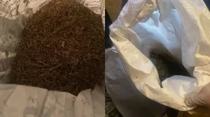 Көкшетауда мотоциклшіден бес келіден астам марихуана тәркіленді