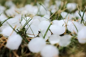 Сильные дожди, град и шквал ожидаются на западе Казахстана