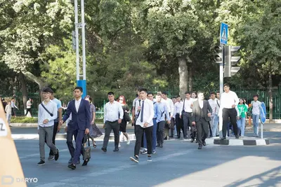 В новом учебном году в госвузах Узбекистана не будут повышать стоимость контракта 21:28 / 18.08.2025