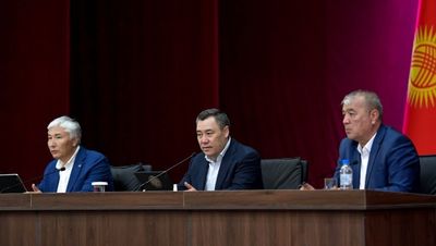 Жапаров призывает сохранить орошаемые земли, приведя в пример срезанные в Китае горы