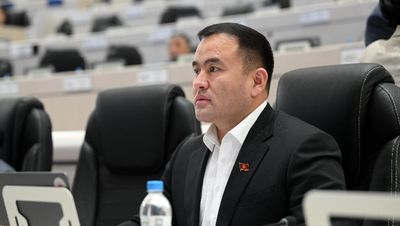 Депутат предлагает позволить покупку разрешения на тонировку авто на короткий срок