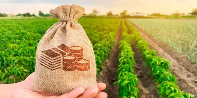 В Кыргызстане начали выдавать льготные кредиты на внедрение водосберегающих технологий