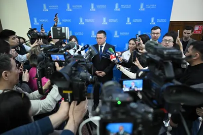 Дело Ботагоз Омаровой: в Минкульте заговорили о либерализации статьи 274 УК РК