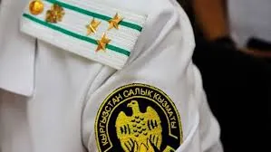 В ГНС напомнили об ограничительных мерах за повторные нарушения при ввозе товаров из стран ЕАЭС